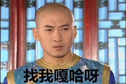 尔康改版表情包,趣味与智慧并存，带你领略经典魅力