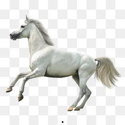 白马竞个人资料,才华横溢的年轻歌手，音乐之路璀璨夺目