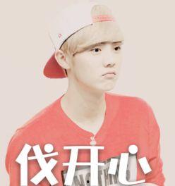 鹿晗委屈表情包,捕捉明星内心柔软瞬间