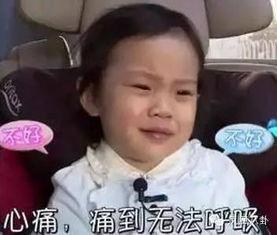 包贝尔的饺子表情包,萌态可掬，笑点满满