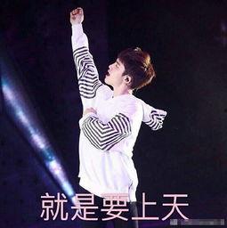 都暻秀好搞笑,笑点满满，欢乐源泉